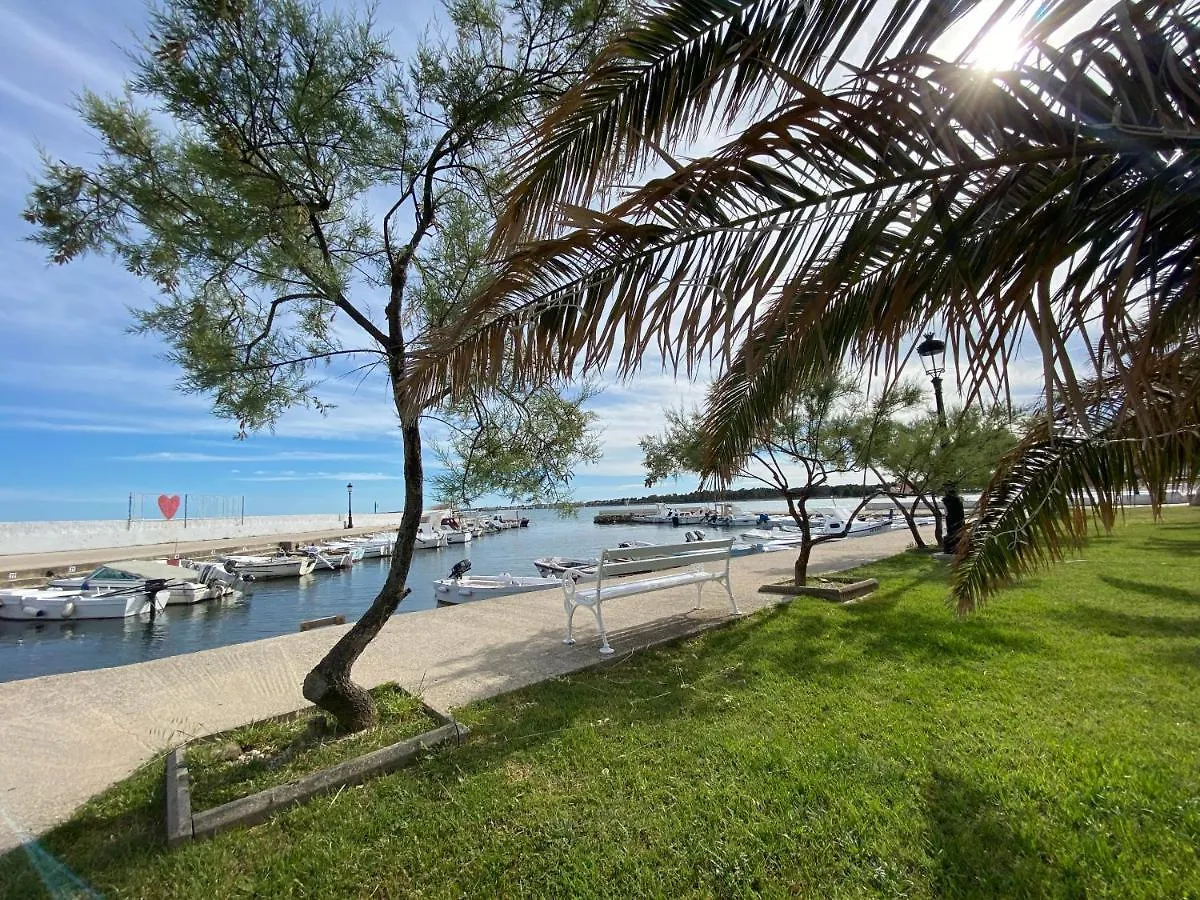 Apartmani Villa Adriatic Vir 0*,